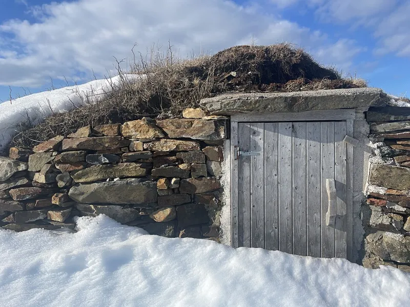 Dig Deep, Store Smart: How to Build a Root Cellar That Works All Year Long