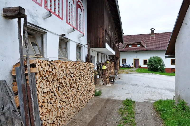 Cut, Split, Stack: How to Turn Your Woodlot Into a Lifetime Supply of Free Heat