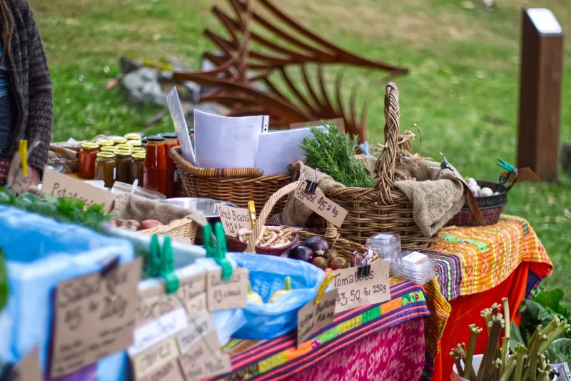 Sell What You Grow: How to Turn Homestead Surplus Into a Real Side Income